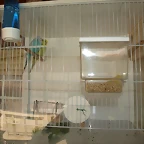 P9070036
