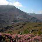 DSCN3942
