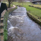 DSCN7167