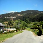 DSCN6733