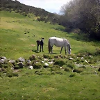 DSCN9602