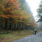 DSCN8421