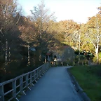 DSCN6649