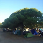 faro 2012 031