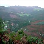 DSCN6333