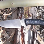 CIMG1594