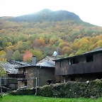 DSCN6082