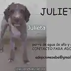 JULIETA Sevilla