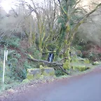 DSCN1537