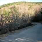 DSCN2957