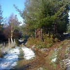 DSCN7475