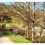 DSCN4008