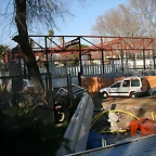 Zoo de Barcelona 09-02-11 353