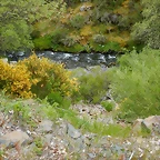DSCN1164