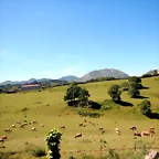 DSCN2981