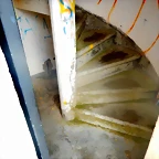 DSCN5444