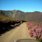 DSCN5265