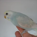 po 2 4-12-11