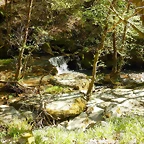 DSCN8988