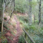 DSCN8977