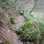 DSCN1014