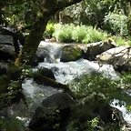 DSCN2776