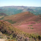 DSCF2556