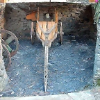 DSCN3481