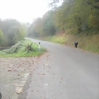 DSCN9968