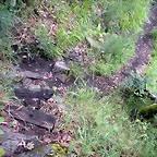 DSCN2756