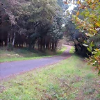 DSCN6434