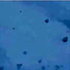 Video Hugo IG 21-3-2018 (8)
