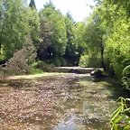 DSCN5342