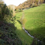 DSCN0449