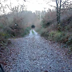 DSCN7195