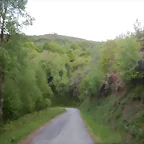 DSCN2148