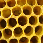 puesta 3
