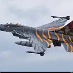 General Dynamics F-16M Fighting Falcon