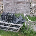DSCN3271