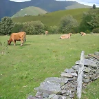 DSCN3277