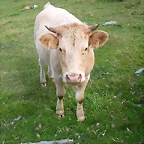 DSCN3278