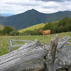 DSCN3273