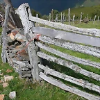 DSCN3276