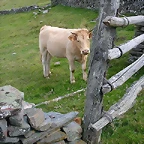 DSCN3280