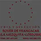 Boxer de Frangacar