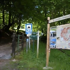 DSCN8095