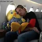 Durmiento con tweety en avión