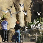 Zoo Barcelona 21-01-12 235