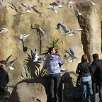 Zoo Barcelona 21-01-12 246