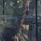 Zoo Barcelona 21-01-12 495